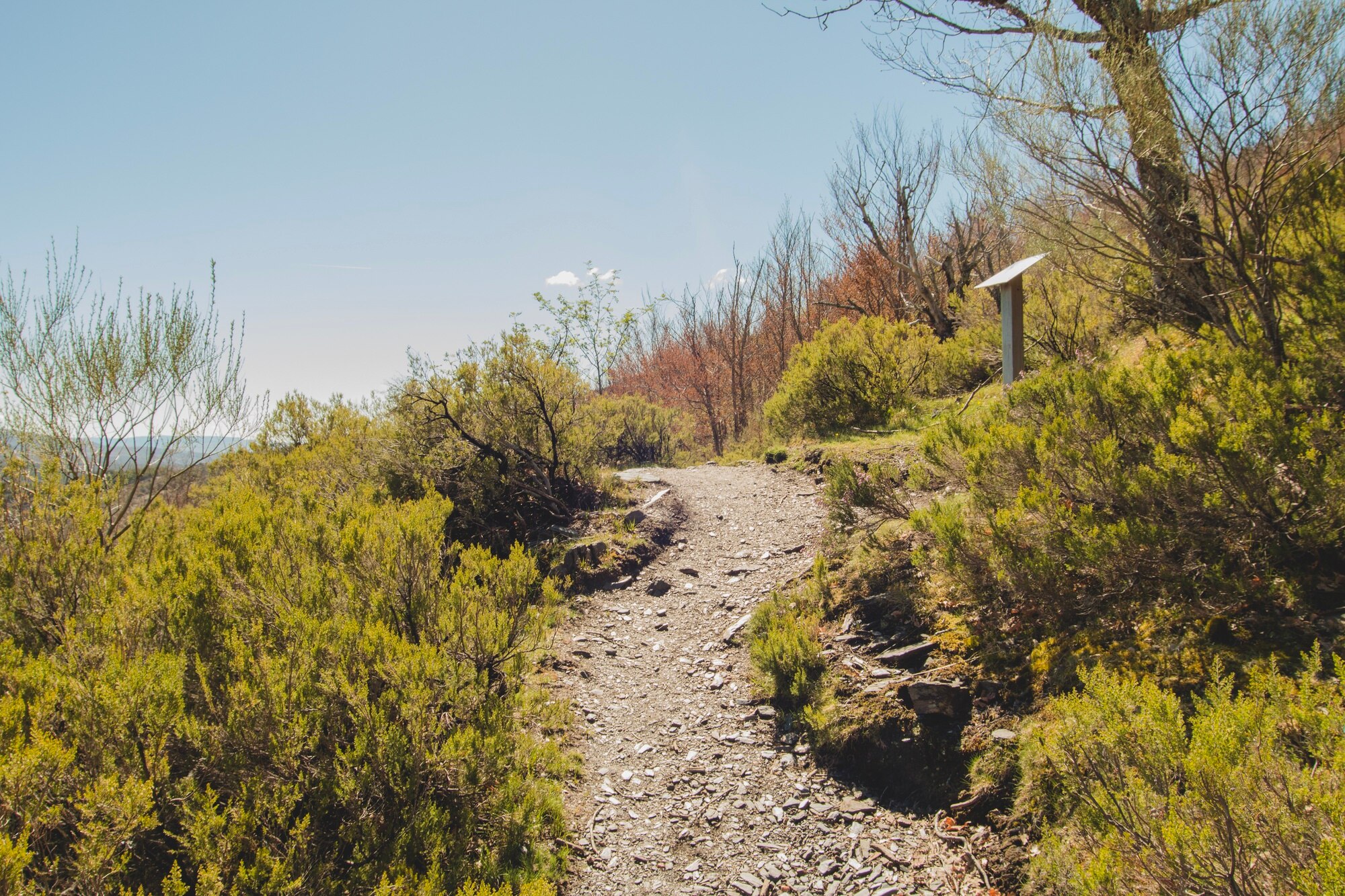 Sendero para caminar